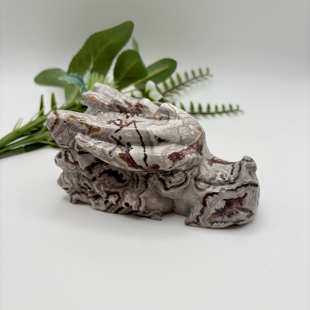 Mexican Crazy Lace Agate Dragon Head (B)